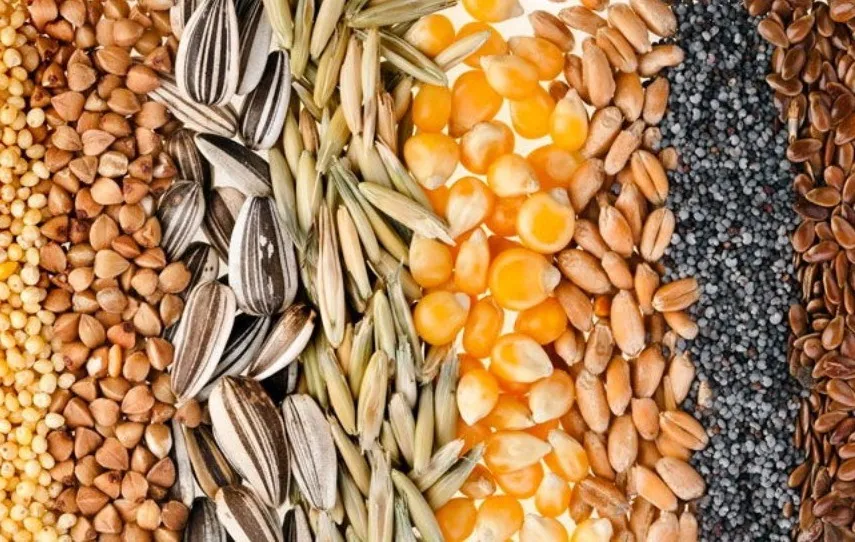 Фотография продукта Закупаем пшеницу фуражную влажную 