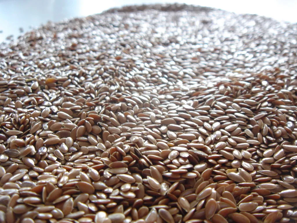 фотография продукта Семена льна чистота 99,9%