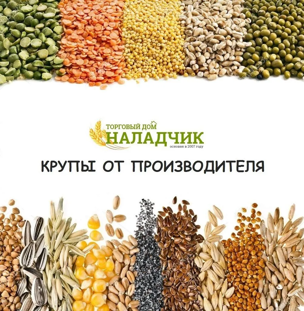 фотография продукта Крупа пшеничная От Производителя