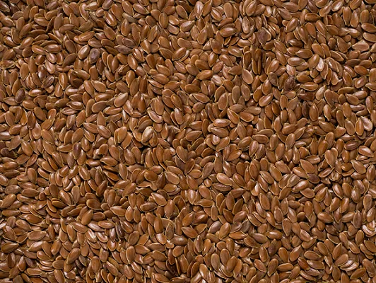фотография продукта Семена льна