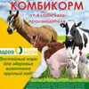 комбикорм от 11,20 руб/кг в Барнауле