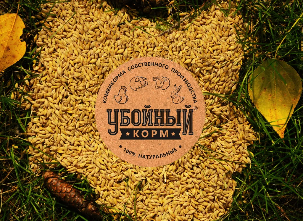 ячмень кормовой и продовольственный  в Барнауле
