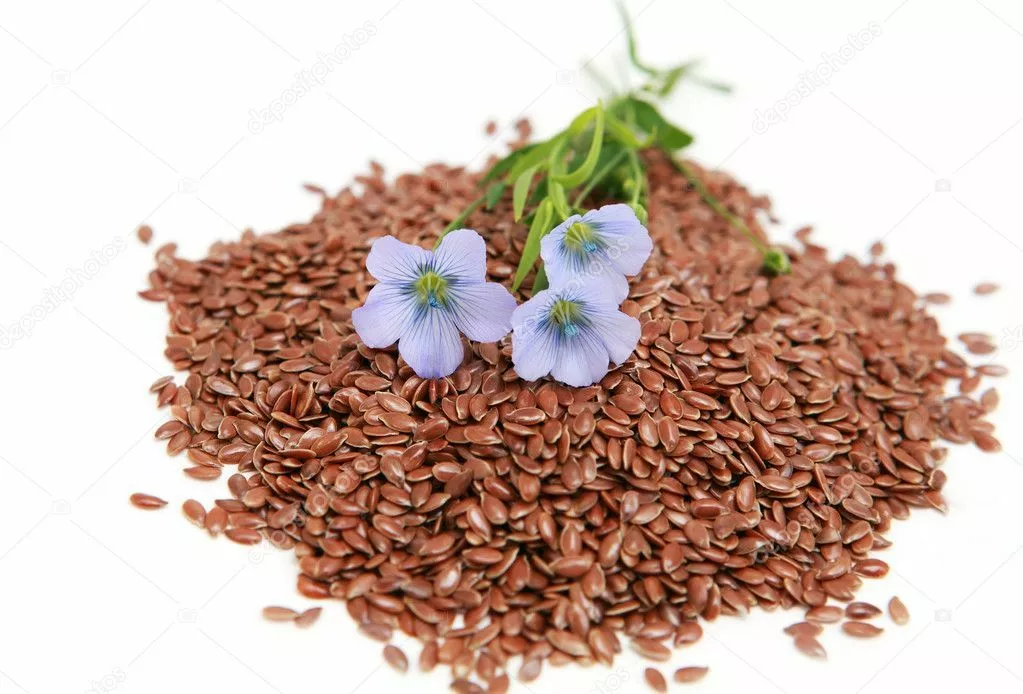 фотография продукта Семена льна сорта северный и каолин рс1 
