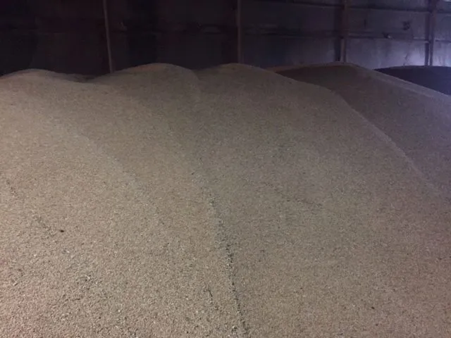 фотография продукта Пшеница проводольственная 4го класса